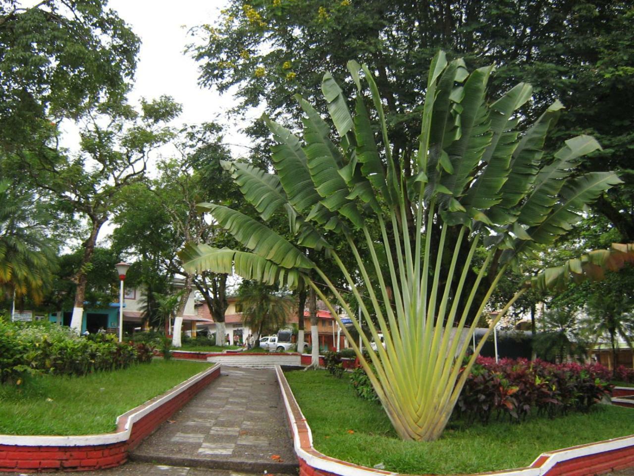 Hotel Casa Trujillo Norcasia Kültér fotó